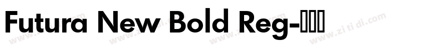Futura New Bold Reg字体转换 Futura New Bold Reg字体转换